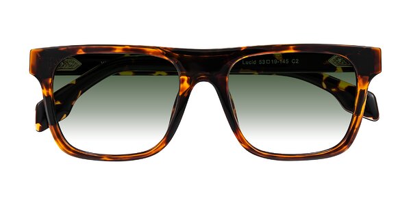 Front of Lucid in Tortoise