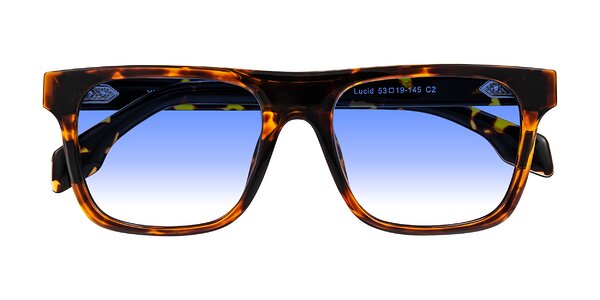 Front of Lucid in Tortoise