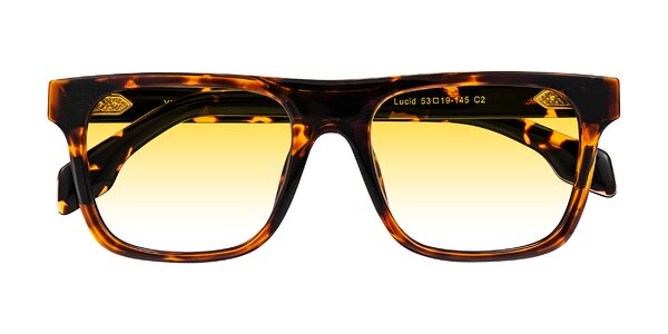 Front of Lucid in Tortoise