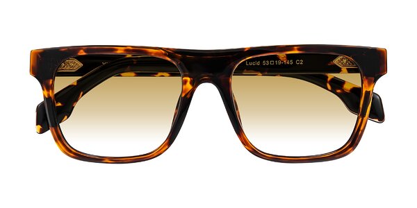 Front of Lucid in Tortoise