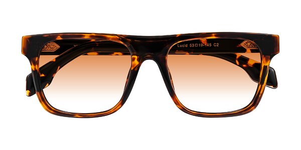 Front of Lucid in Tortoise