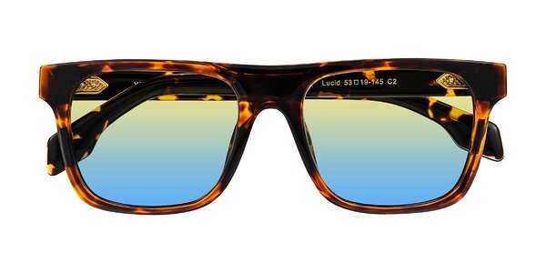 Front of Lucid in Tortoise