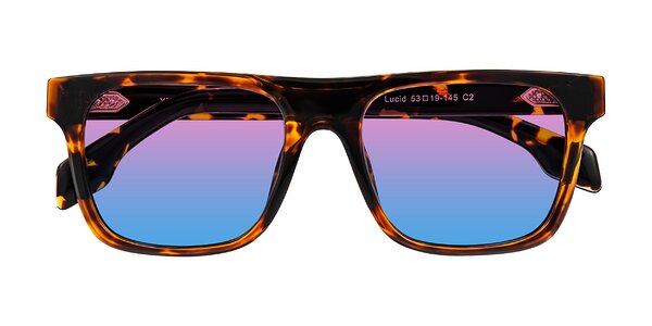 Front of Lucid in Tortoise