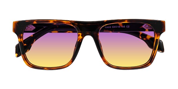 Front of Lucid in Tortoise