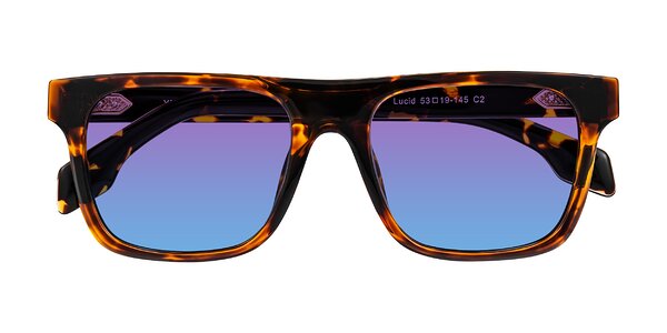 Front of Lucid in Tortoise