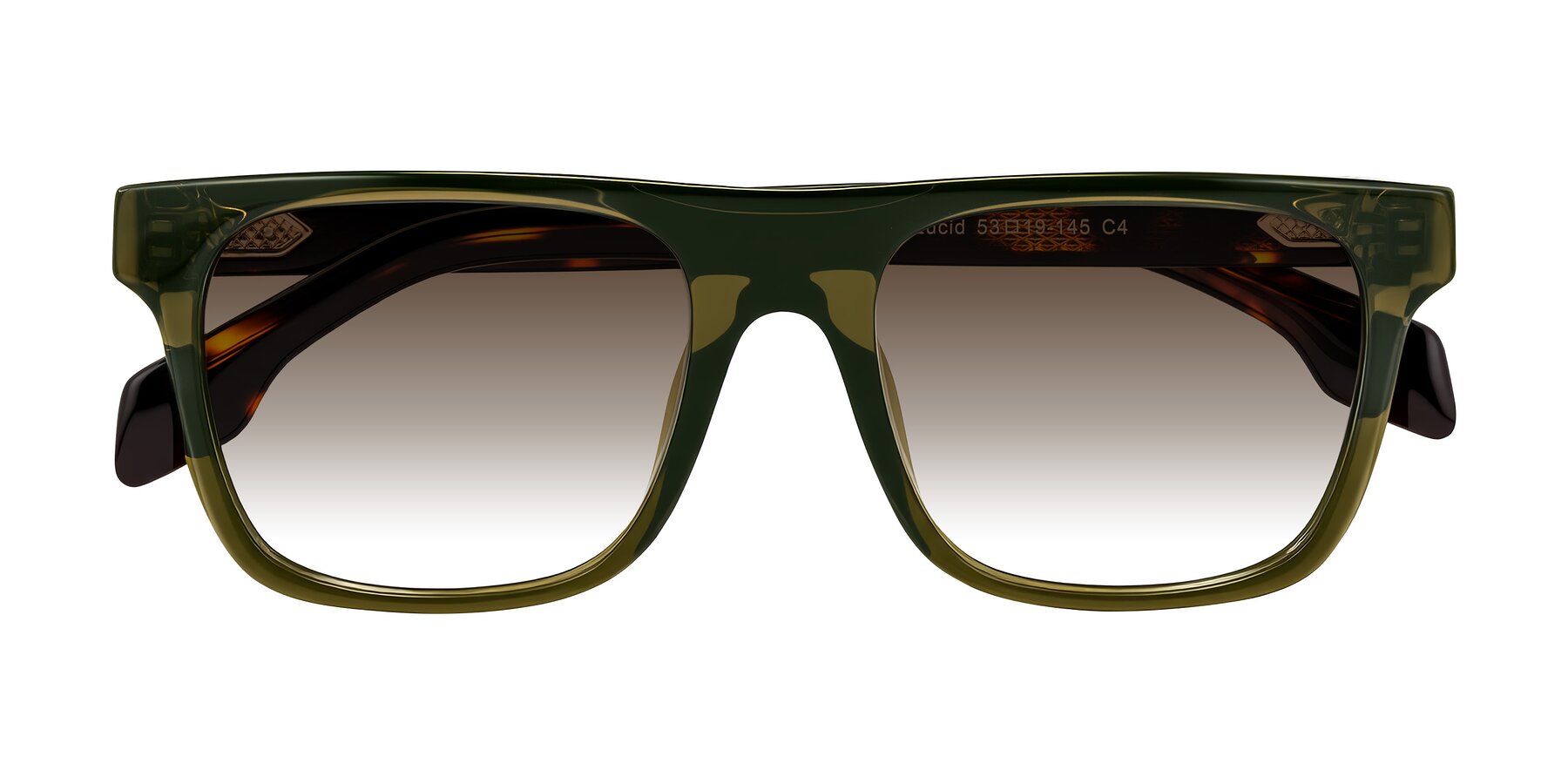 Folded Front of Lucid in Green/Tortoise with Brown Gradient Lenses