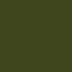 Green/Tortoise