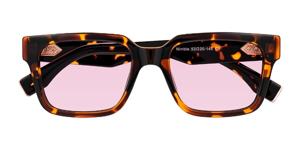 Front of Nimble in Tortoise