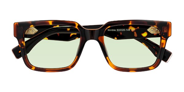 Front of Nimble in Tortoise