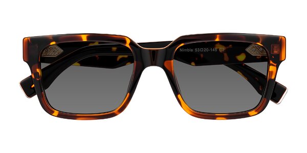 Front of Nimble in Tortoise
