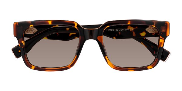 Front of Nimble in Tortoise