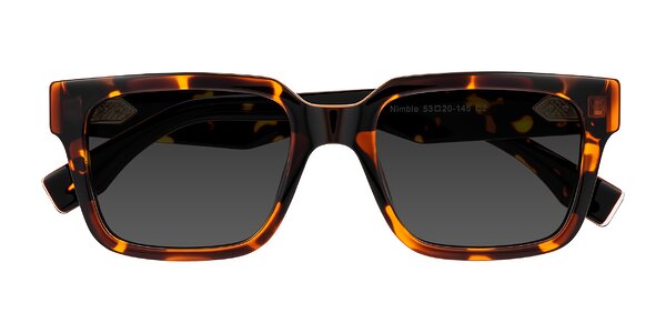Front of Nimble in Tortoise