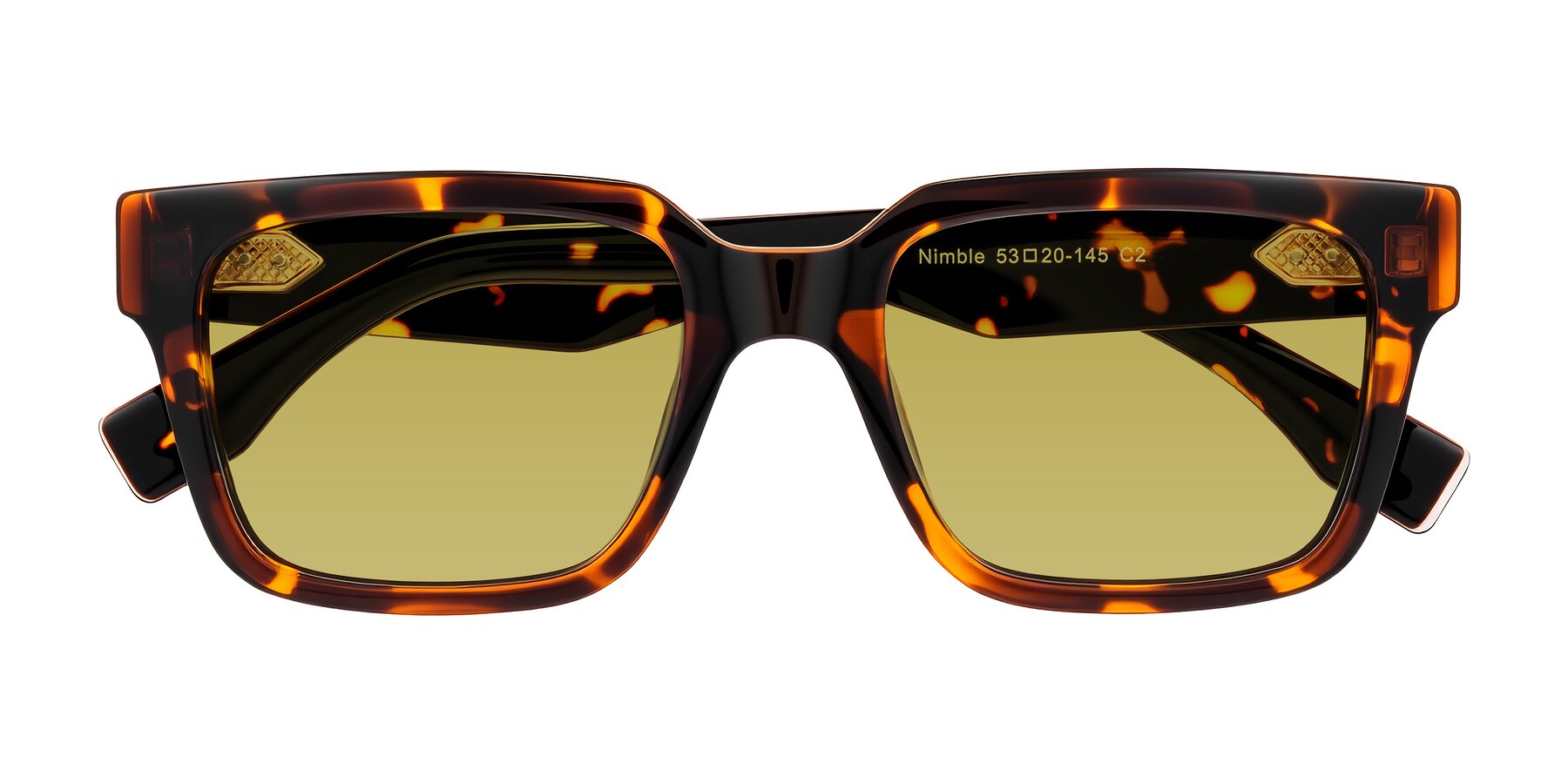 Folded Front of Nimble in Tortoise with Champagne Tinted Lenses