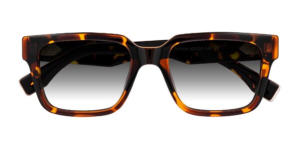 Front of Nimble in Tortoise