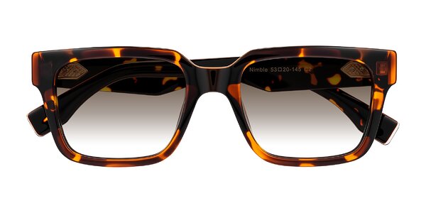 Front of Nimble in Tortoise