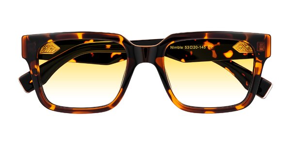 Front of Nimble in Tortoise