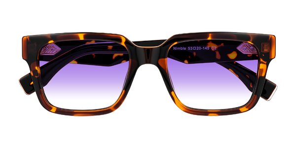 Front of Nimble in Tortoise