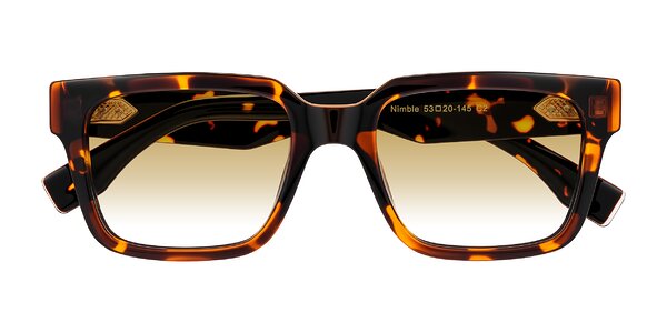 Front of Nimble in Tortoise