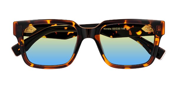 Front of Nimble in Tortoise