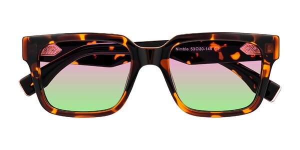 Front of Nimble in Tortoise