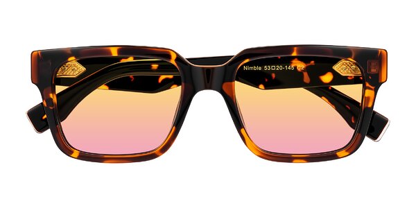 Front of Nimble in Tortoise