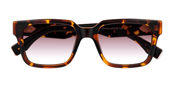 Front of Nimble in Tortoise