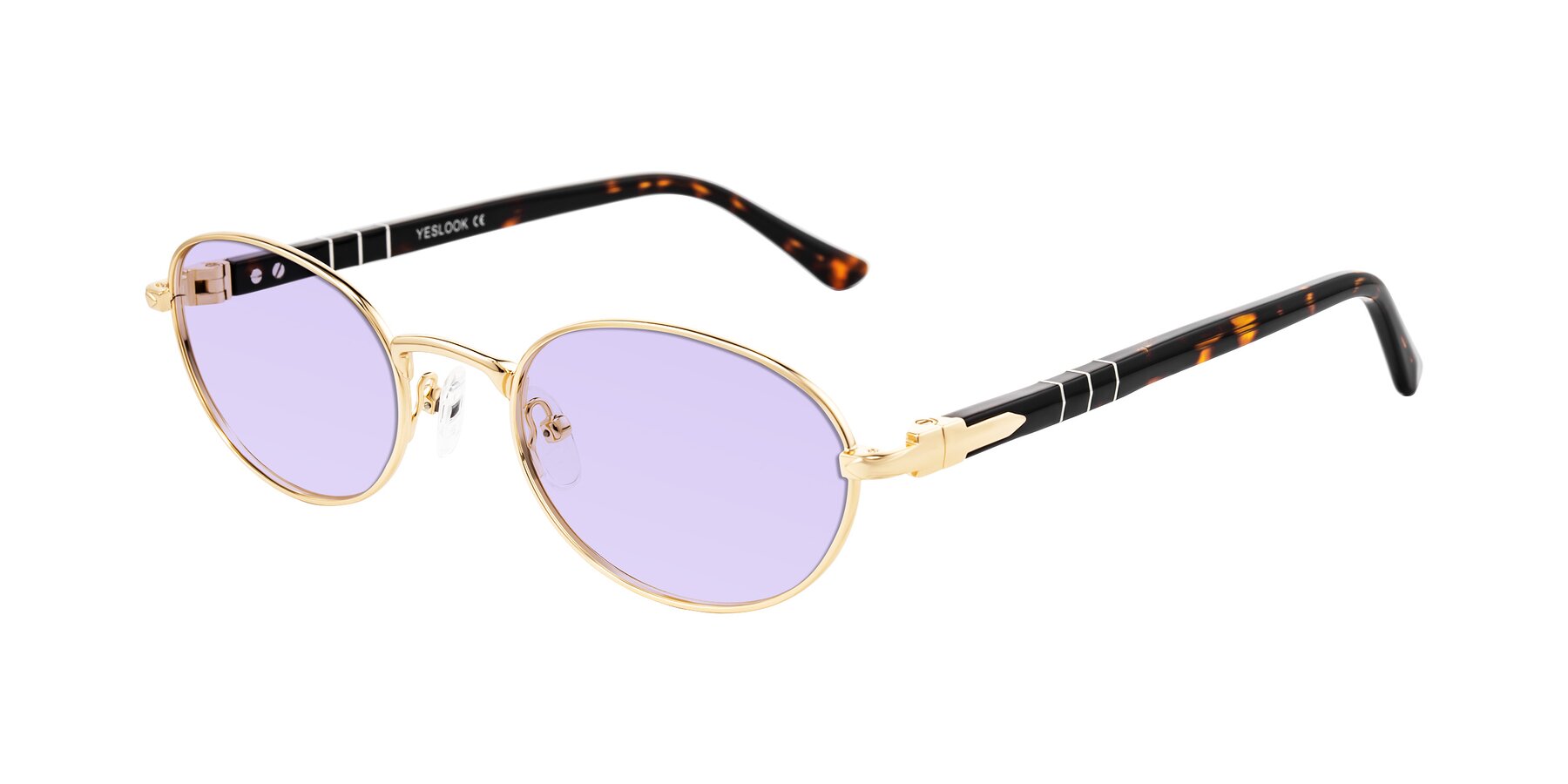 Angle of Gamal in Gold/Tortoise with Light Purple Tinted Lenses