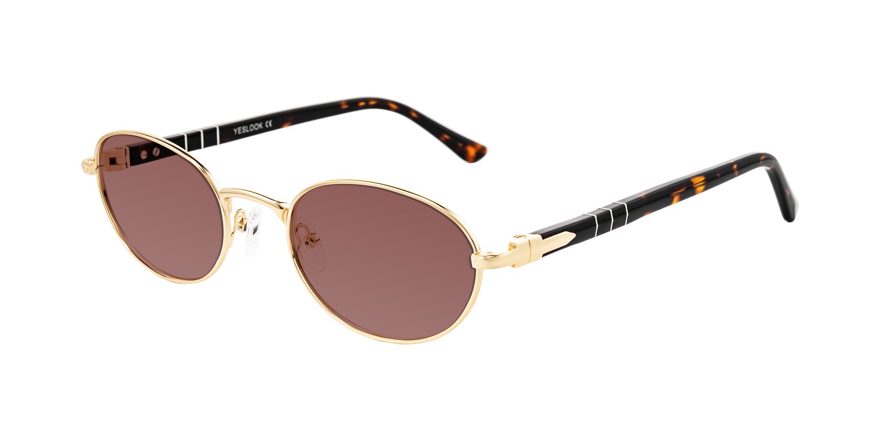 Angle of Gamal in Gold/Tortoise with Garnet Tinted Lenses