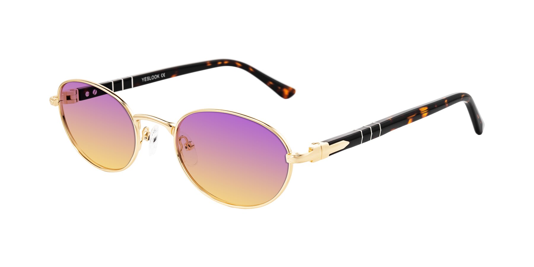 Angle of Gamal in Gold/Tortoise with Purple / Yellow Gradient Lenses