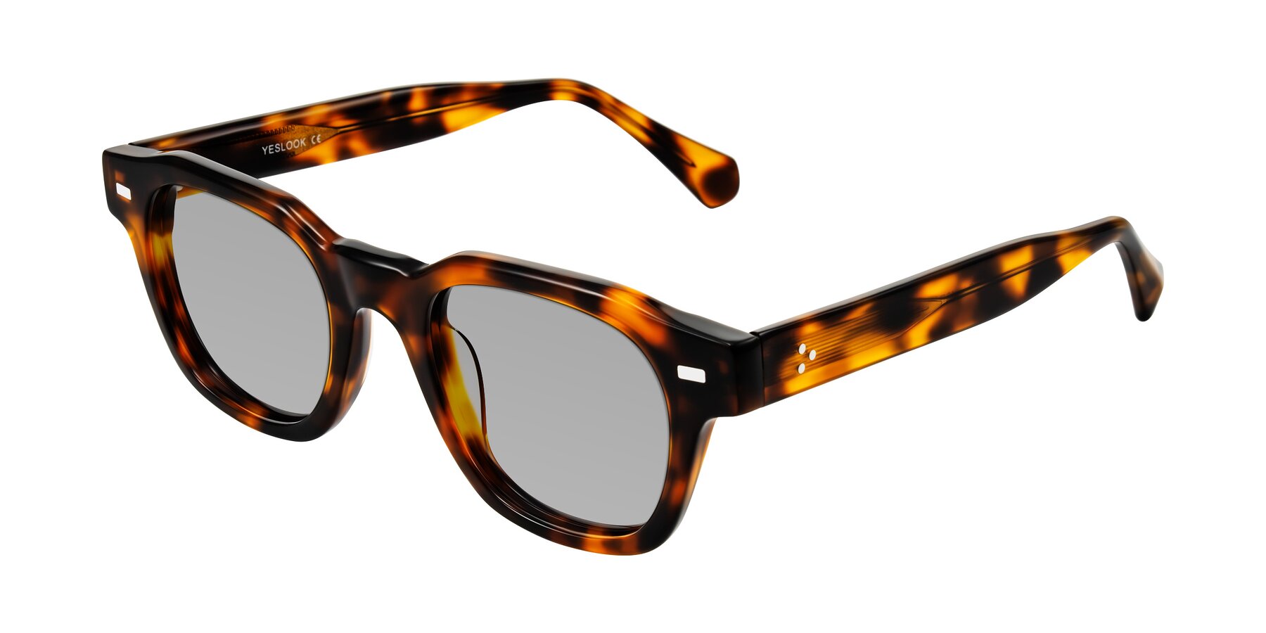 Angle of Orin in Tortoise with Light Gray Tinted Lenses