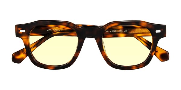 Front of Orin in Tortoise