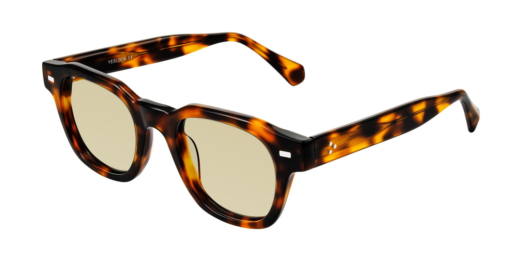 Angle of Orin in Tortoise with Light Champagne Tinted Lenses