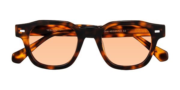 Front of Orin in Tortoise