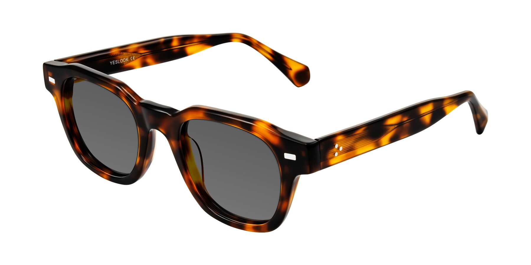 Angle of Orin in Tortoise with Medium Gray Tinted Lenses