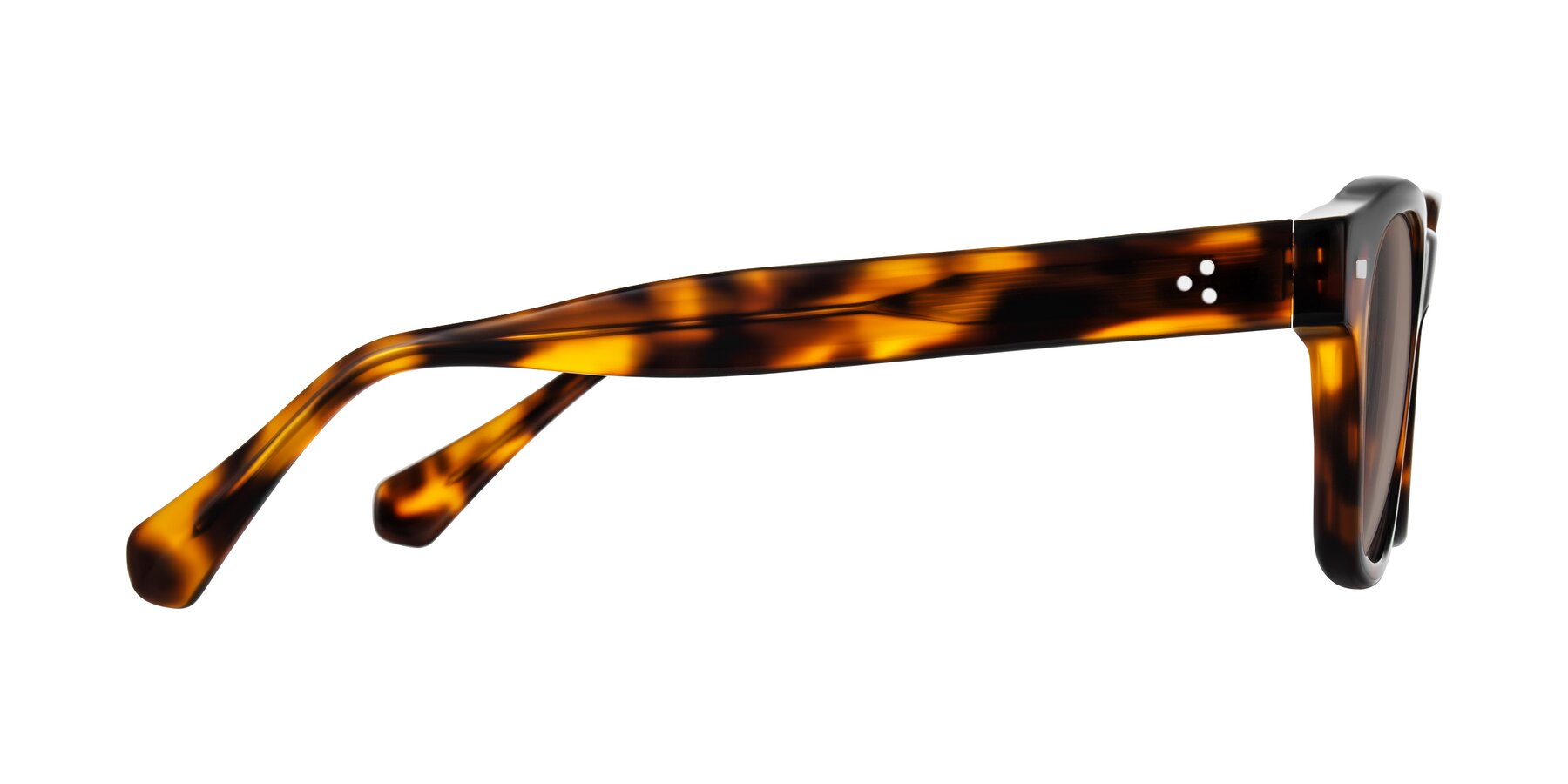 Side of Orin in Tortoise with Medium Brown Tinted Lenses