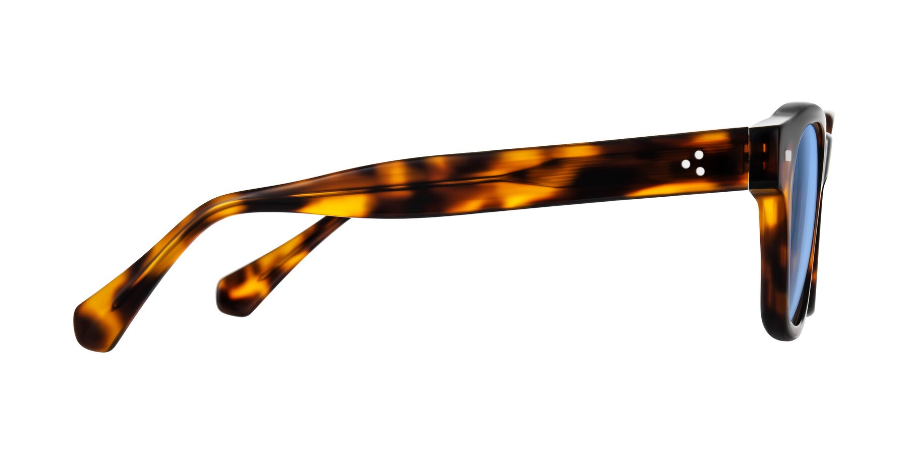 Side of Orin in Tortoise with Medium Blue Tinted Lenses