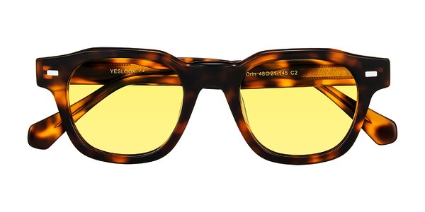 Front of Orin in Tortoise