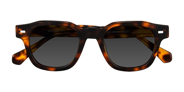 Front of Orin in Tortoise