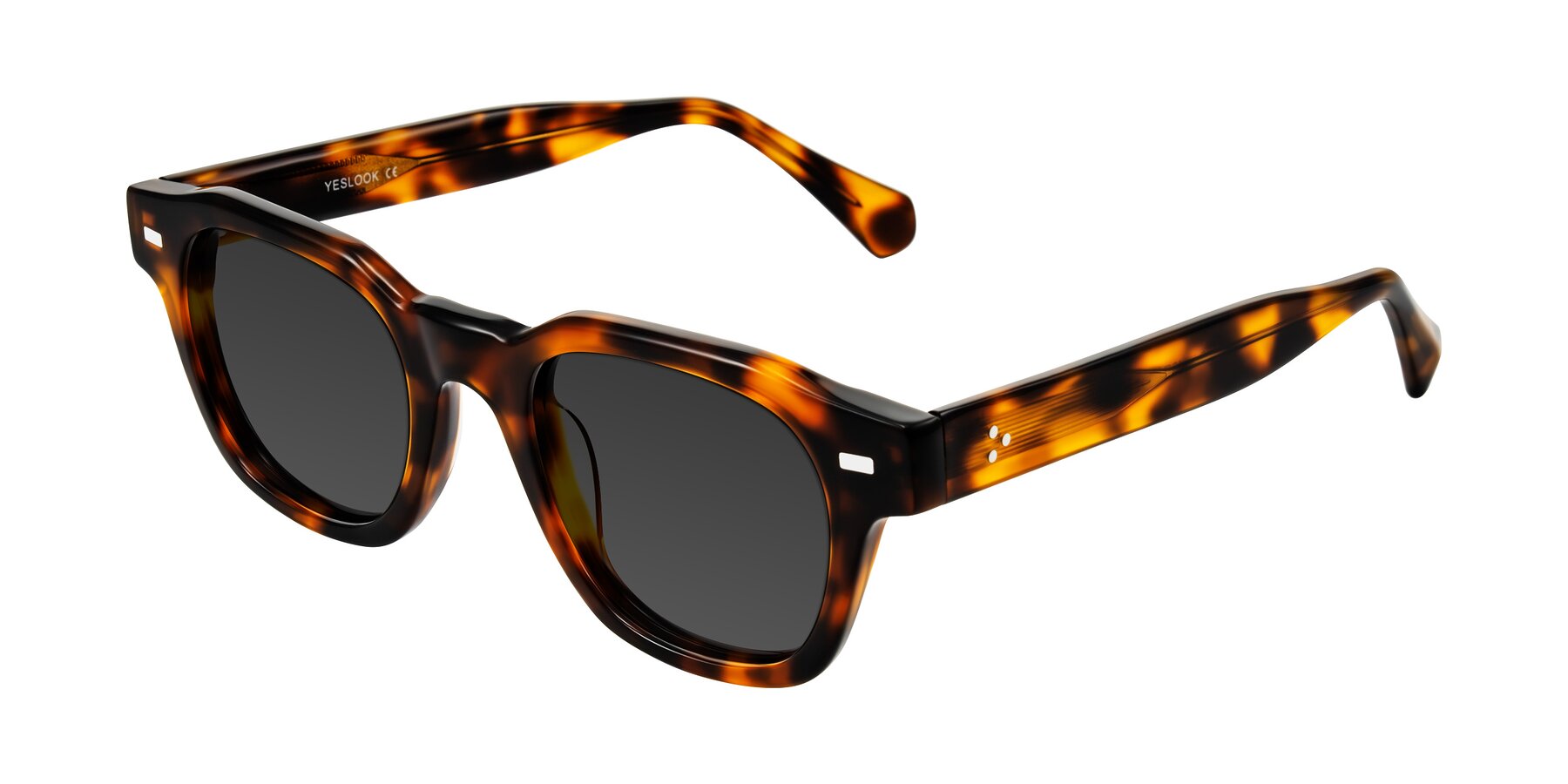 Angle of Orin in Tortoise with Gray Tinted Lenses