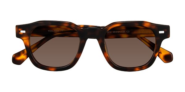 Front of Orin in Tortoise