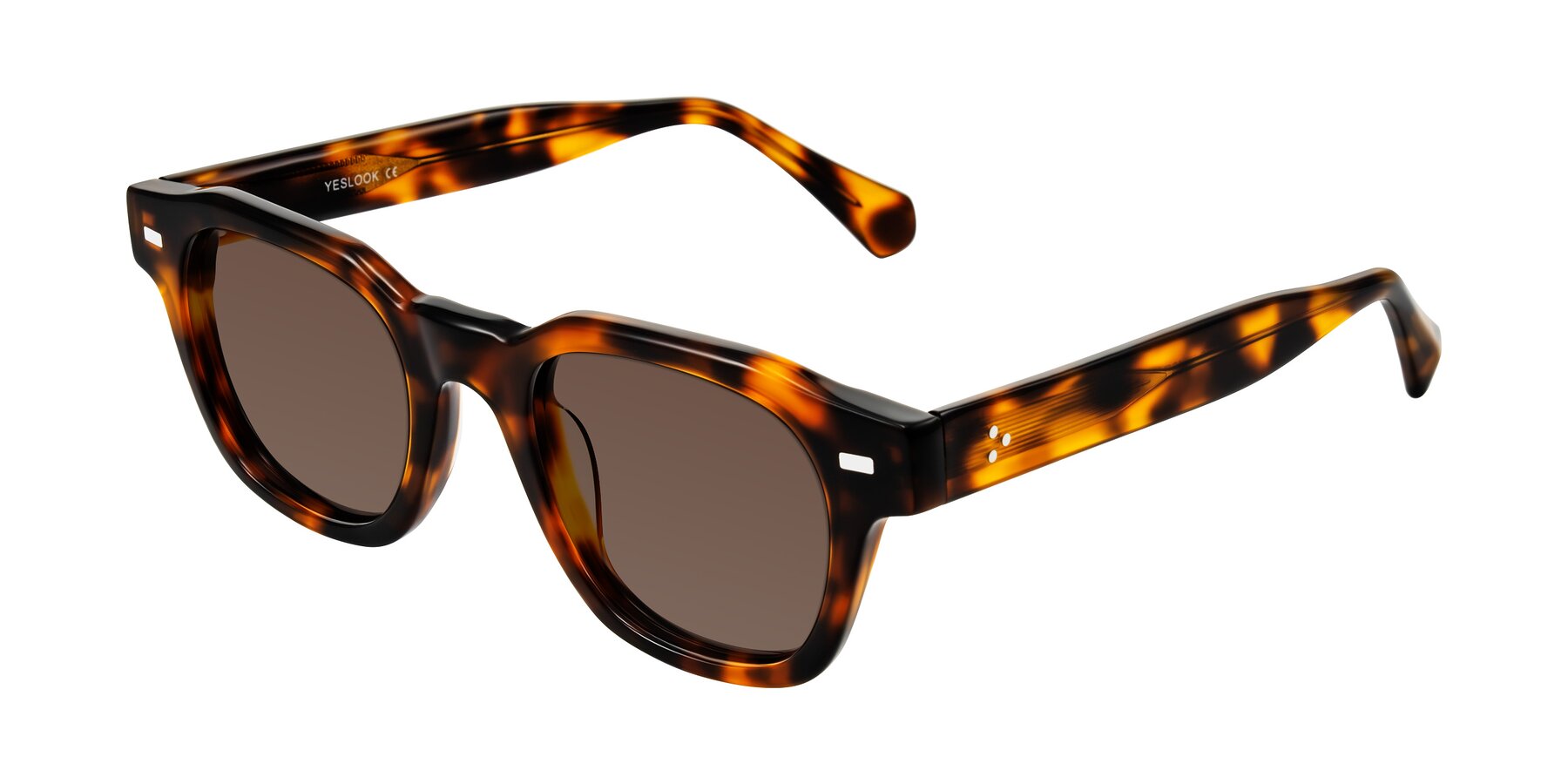 Angle of Orin in Tortoise with Brown Tinted Lenses