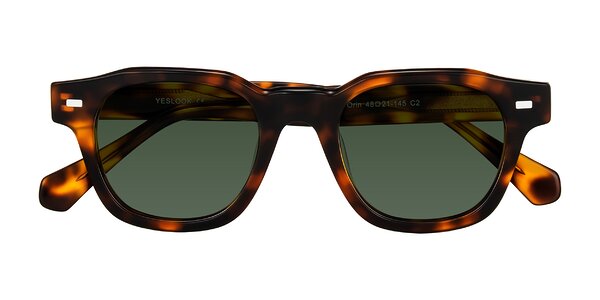 Front of Orin in Tortoise