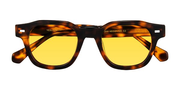 Front of Orin in Tortoise