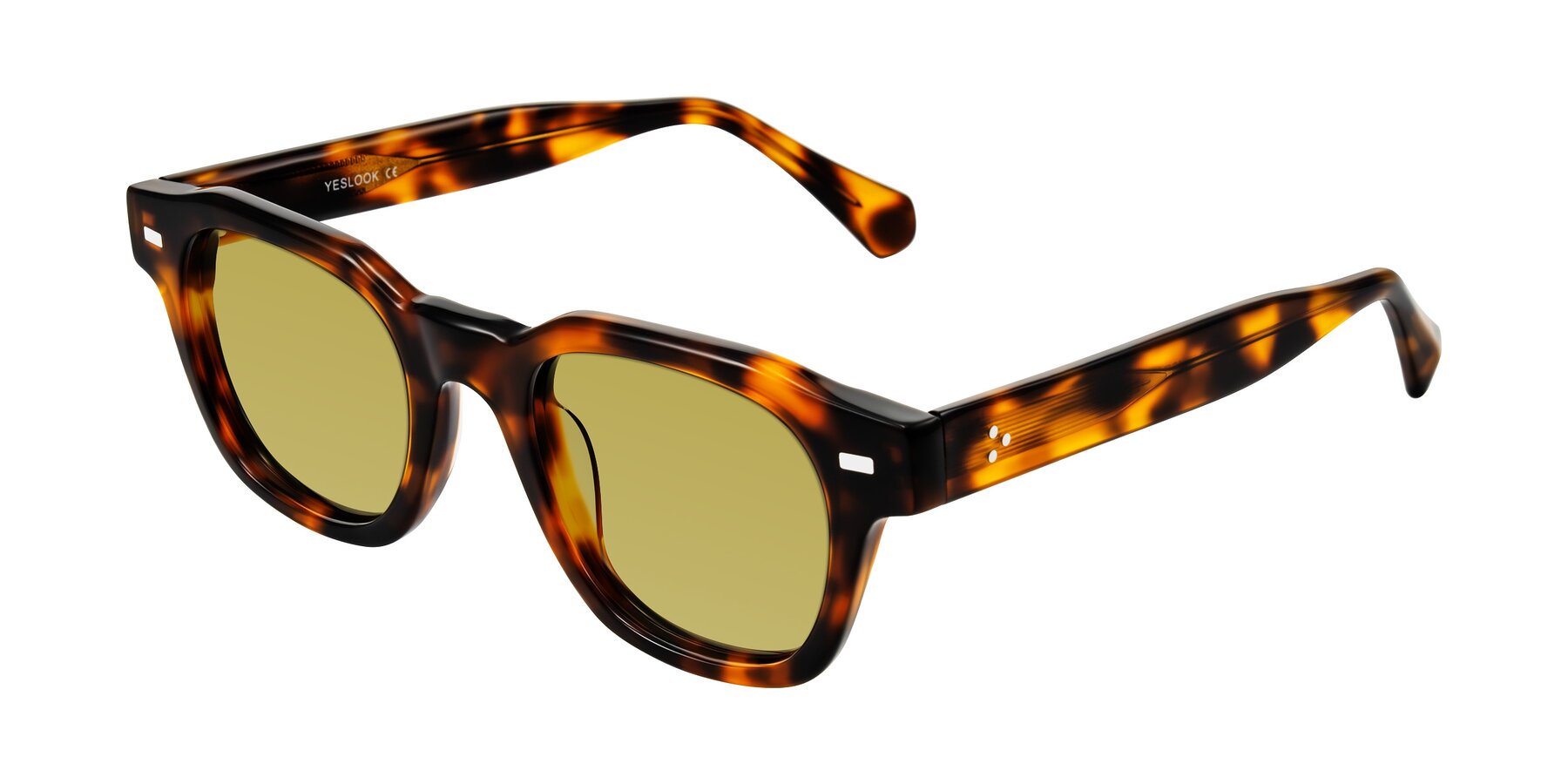 Angle of Orin in Tortoise with Champagne Tinted Lenses