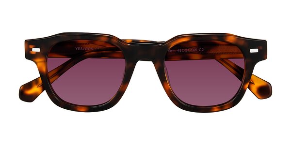Front of Orin in Tortoise