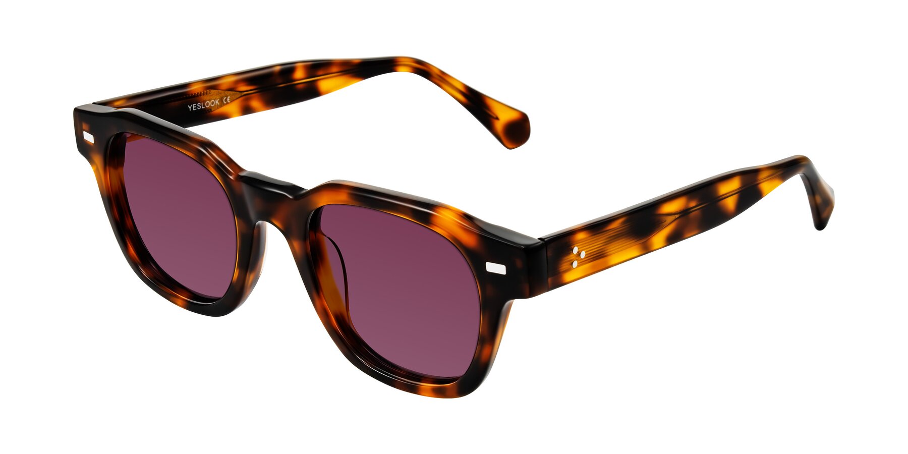 Angle of Orin in Tortoise with Wine Tinted Lenses