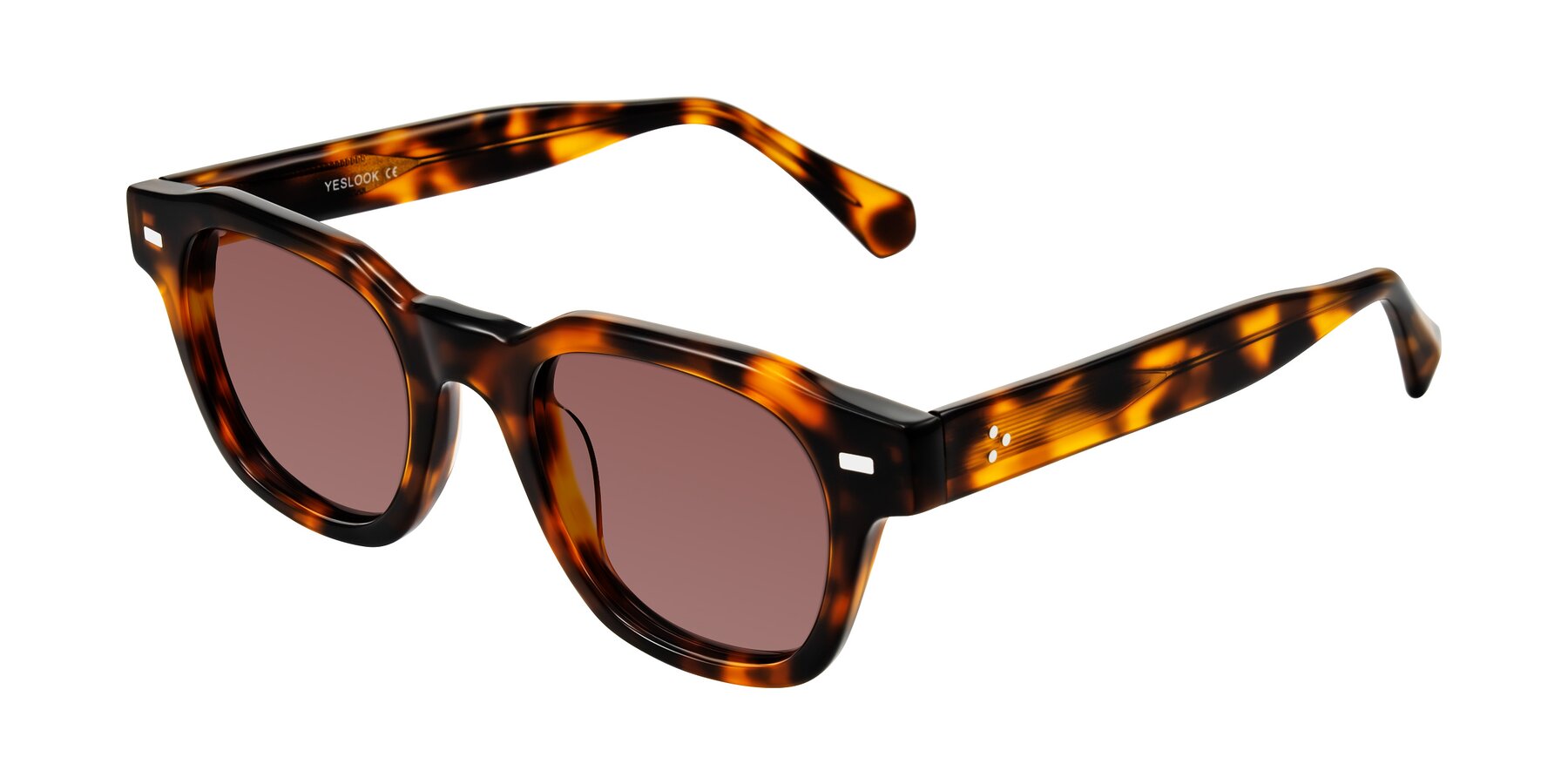 Angle of Orin in Tortoise with Garnet Tinted Lenses