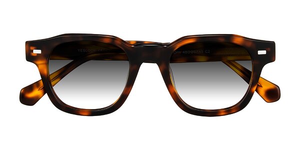 Front of Orin in Tortoise