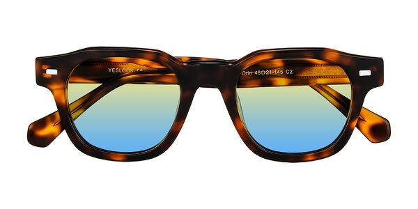 Front of Orin in Tortoise