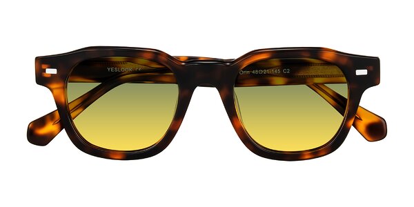 Front of Orin in Tortoise